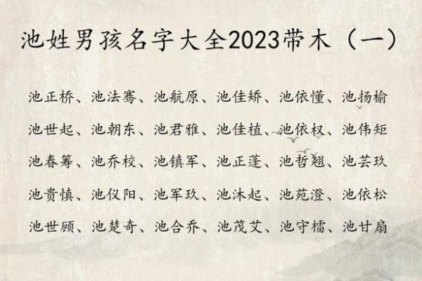 宝宝取名大全,依据生辰八字定制专属名字 宝宝取名大全,依据生辰八字定制专属名字