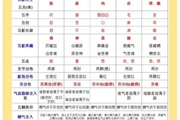 五行属性查询表的全面解析与应用指南 五行属性查询表的全面解析与应用指南