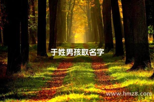 于姓男孩名字推荐:既简洁又有文化底蕴的最佳组合 于姓男孩名字推荐:既简洁又有文化底蕴的最佳组合