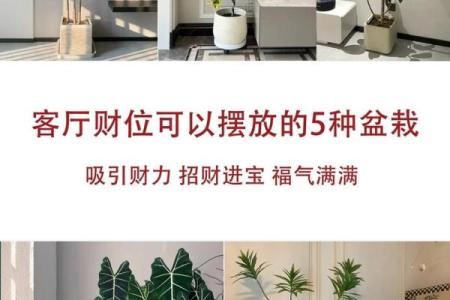 风水财位布局攻略：助你招财进宝的秘诀