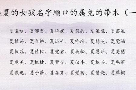 生辰八字免费起名，如何为孩子选择合适的五行属性