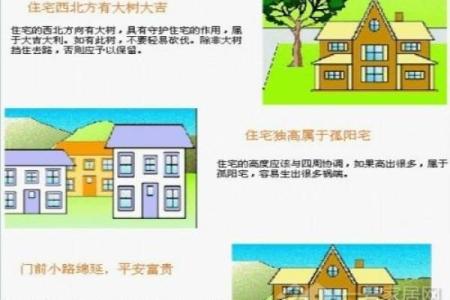 黑檀家居风水布局技巧与禁忌解析