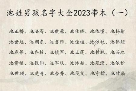 宝宝取名大全，依据生辰八字定制专属名字