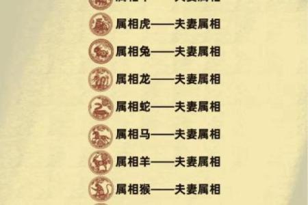 男鼠女蛇婚姻关系中的优势与挑战