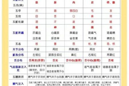 五行属性查询表的全面解析与应用指南