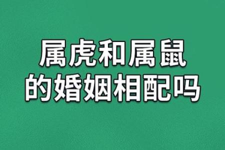 属虎男和属狗女的婚姻能走多远
