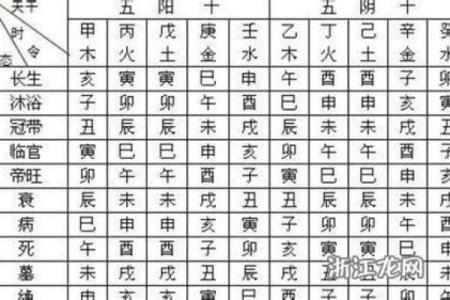 如何通过生辰八字了解个人命运走势