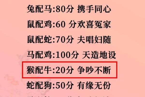 探讨属鼠和属猪的恋爱和婚姻契合度 探讨属鼠和属猪的恋爱和婚姻契合度