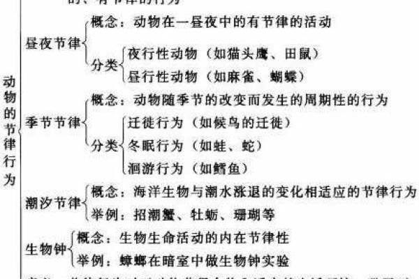 探索八字配对的深层次含义:命运的交汇点 探索八字配对的深层次含义:命运的交汇点