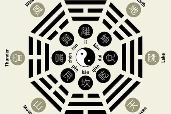 张五行属什么与命理分析揭秘 张五行属什么与命理分析揭秘