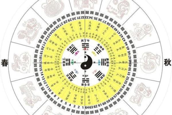 张五行属什么与命理分析揭秘 张五行属什么与命理分析揭秘