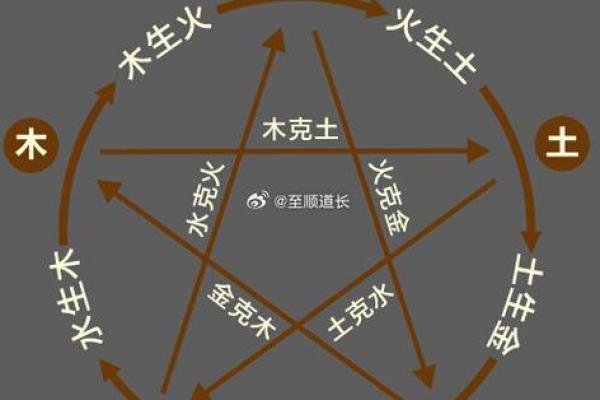 今日五行属木 解析当天五行运势与生活影响 今日五行属木 解析当天五行运势与生活影响