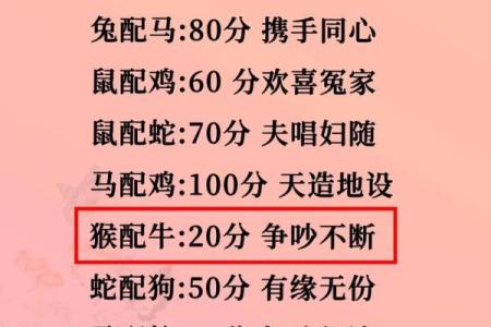 探讨属鼠和属猪的恋爱和婚姻契合度