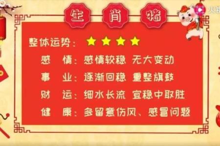 麦玲玲程完整版解析 深入了解你的命运走势