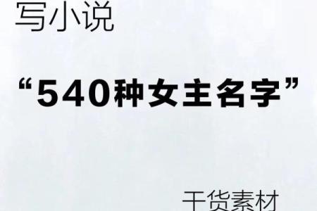 探索女主名字大全：为你的小说角色挑选完美名字