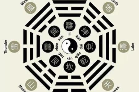 张五行属什么与命理分析揭秘