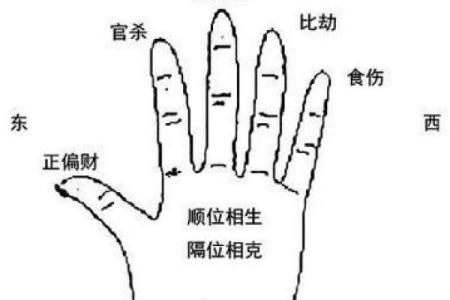 夫妻八字相合与相冲：对婚姻生活的影响分析