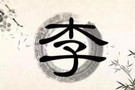 李姓五行属性及其对命运的影响解析