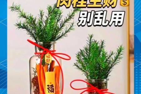 如何通过风水布局找到家中的财位提升运势