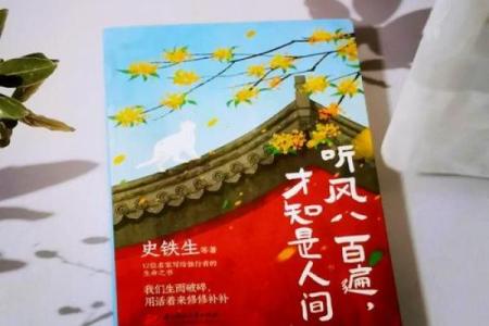 伟的名字背后：探寻蕴含的深刻意义与人生哲理
