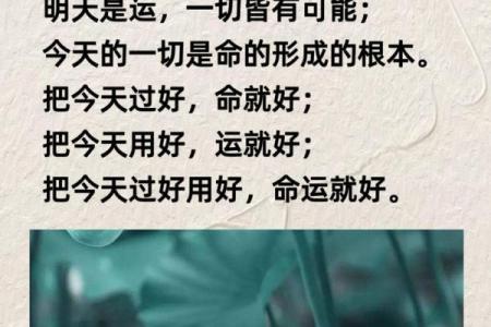 是何命？揭秘这一年出生者的命运轨迹