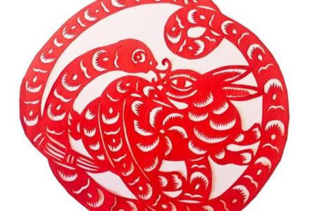 属兔和属蛇的性格契合度如何