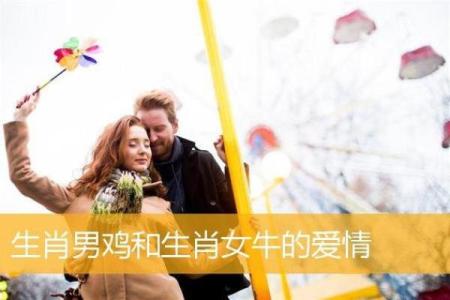 属鸡男与属猪女婚姻中的优势与挑战