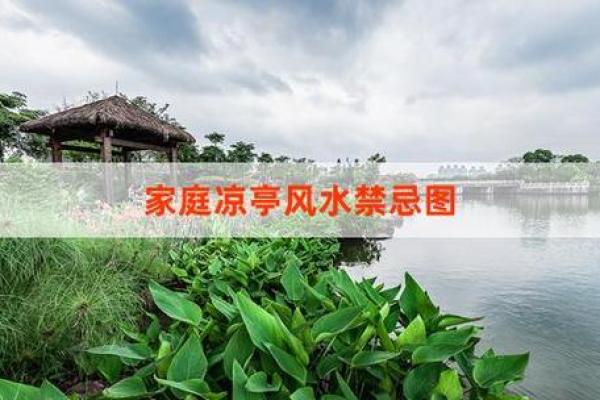提升家居风水,打造和谐居住环境 提升家居风水,打造和谐居住环境