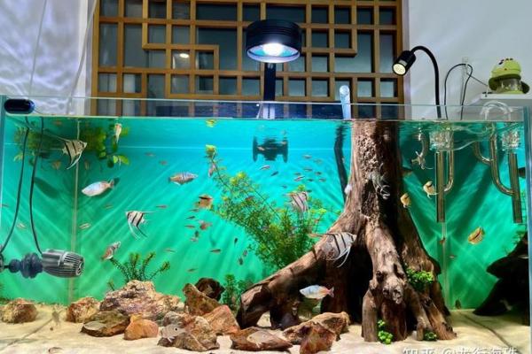 提升家居风水 让镇宅之力守护您的家庭安全与和谐 提升家居风水 让镇宅之力守护您的家庭安全与和谐