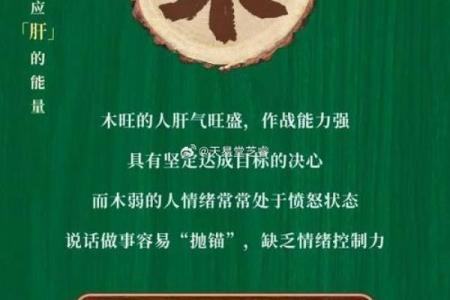 掌握风水学的核心要点，提升生活运势