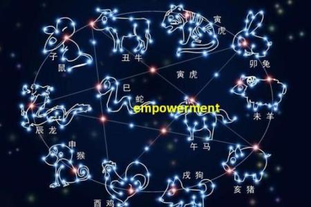 阳命的定义与特点解析