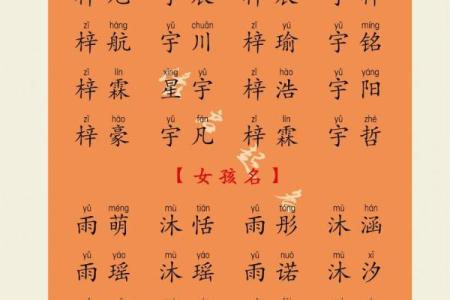 猴宝宝起名字大全，最受欢迎的宝宝名字