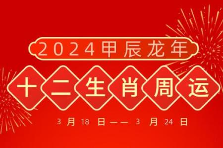 二生肖运程解析：财运、事业与感情全方位揭秘