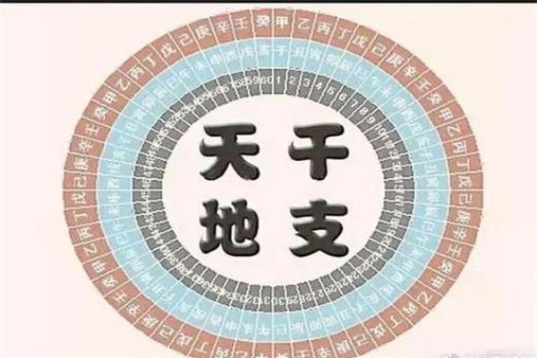 包双龙八字解析与命运走向探秘 包双龙八字解析与命运走向探秘