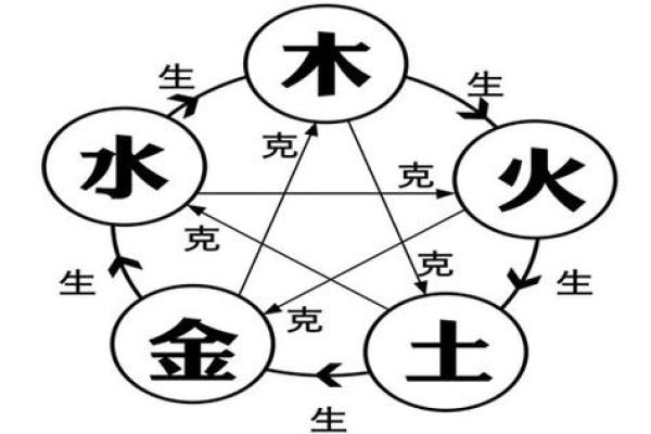 水命虎的事业与健康运势分析