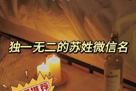 从苏姓文化出发，挑选最合适的名字