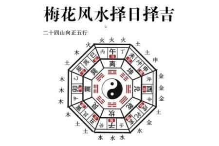 梅花在家居风水中的寓意与布置技巧