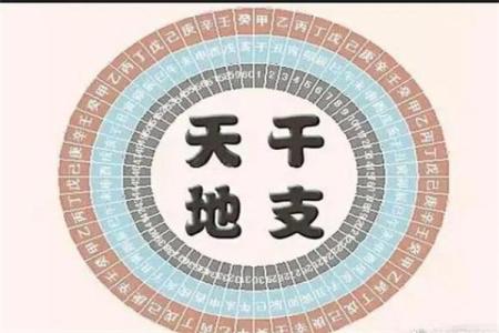 包双龙八字解析与命运走向探秘
