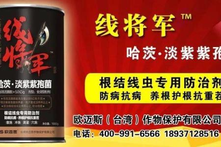 矿业公司名字选择中的常见误区及避开策略