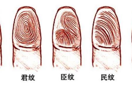 揭秘富贵命的指纹特征与命运关系