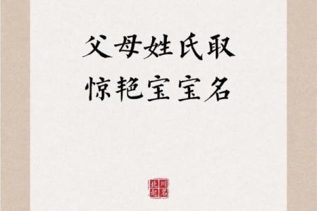 宝宝店取名灵感大放送，打造独特品牌
