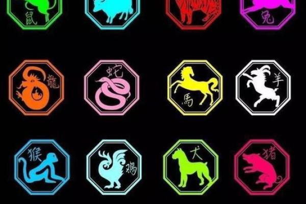 蛇年每月运势解析：月度运程详解与运势变化