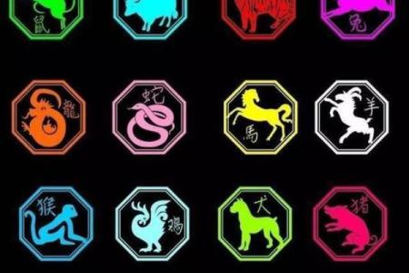 蛇年每月运势解析：月度运程详解与运势变化