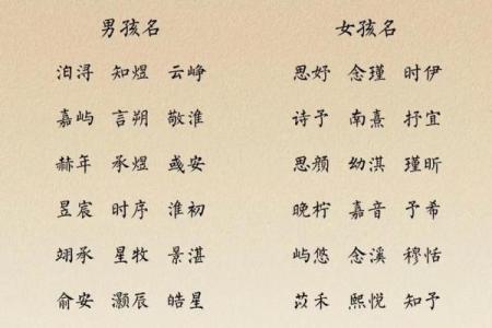 猴宝宝起名大全，如何选个既好听又合适的名字