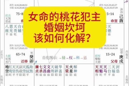八字中的桃花对婚姻的影响与化解