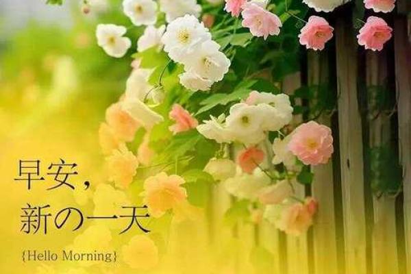 三月三日运程解析：把握好运的最佳时机