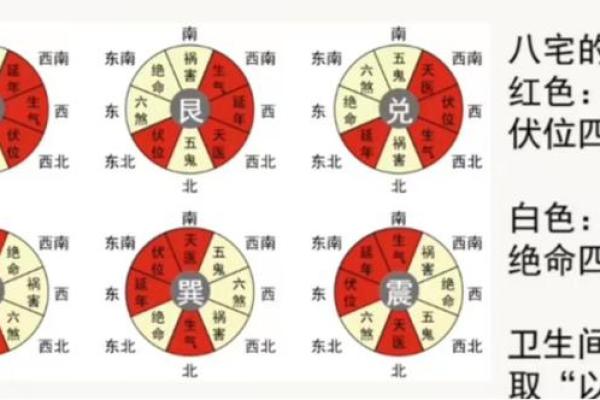 提升职场运势:生肖与办公风水的关系 提升职场运势:生肖与办公风水的关系