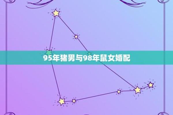 属鼠与属猪的性格差异与婚配建议