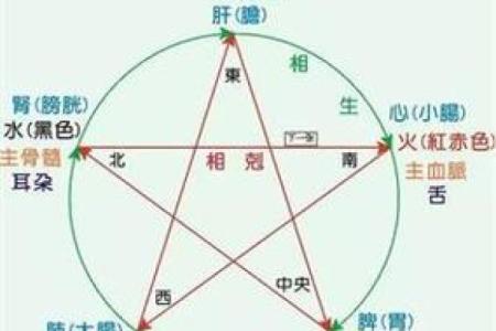 仁字的五行属性解析与命理影响