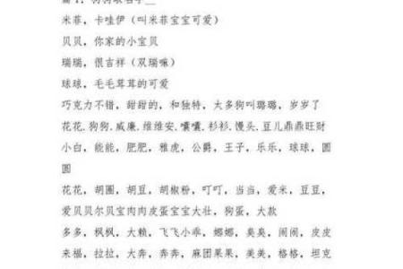 喜命的定义与如何通过命理提升生活质量